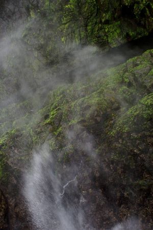 c79-Nature WS - 12.jpg